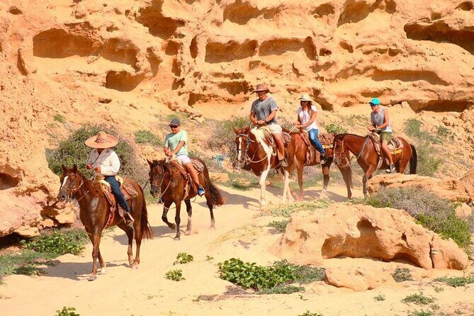 Combined ATV and Horseback Ride/Tequila Tasting - What the Reviews Say