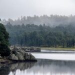 Combined Tour - What We Loved (And What to Consider)