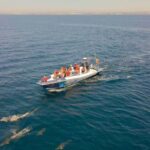 Combo: Benagil & Dolphins Boat Tour w/ Marine Biologists - Final Thoughts