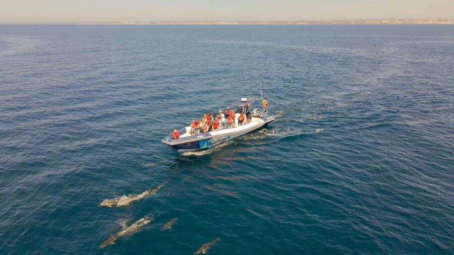 Combo: Benagil & Dolphins Boat Tour w/ Marine Biologists - Final Thoughts