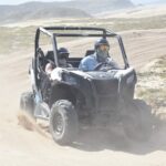 Combo Double Utv + Horses - Final Thoughts: Is It Worth It?