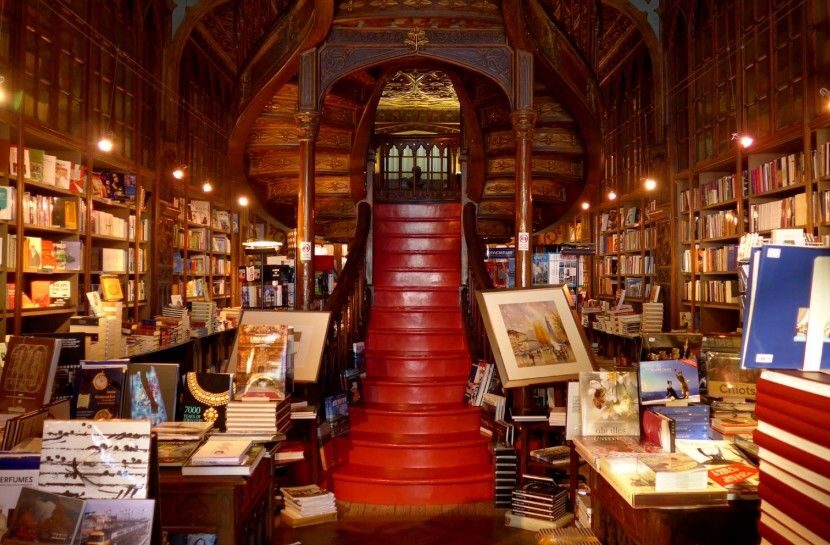 Combo: Porto City Half-Day Tour & Aveiro Half-Day Tour - Authentic Perspectives from Travelers