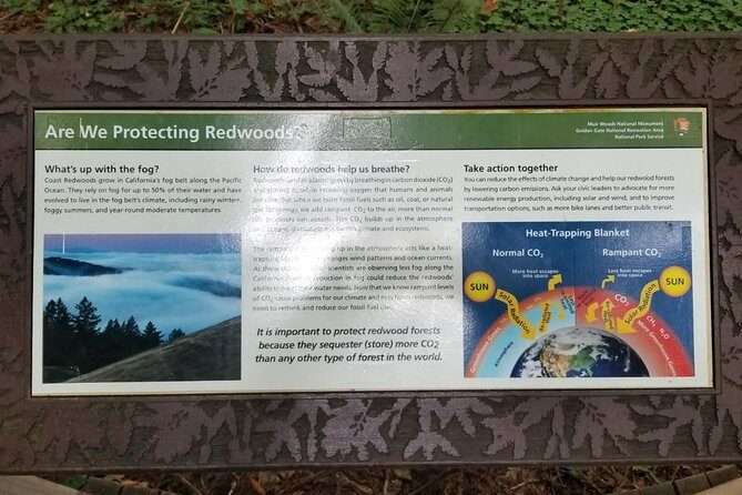 Combo Tour: Muir Woods, Sausalito and Sonoma Wine Country Tour - What the Reviews Tell Us