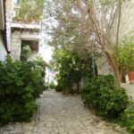 Commandaria zone wine villages: Winery tour with Lunch - What Travelers Say