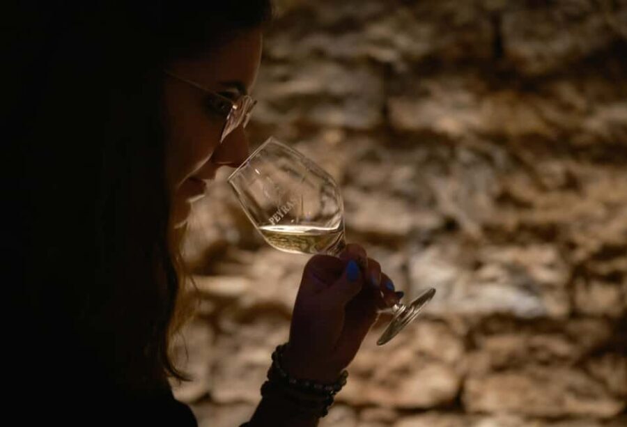 Commanderie de Peyrassol: Guided tour of the wine cellars - An Honest Look at the Peyrassol Wine Cellar Tour