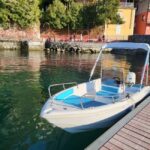 Como Lake: Sharing Boat Tour with professional Skipper - The itinerary: What you’ll see and do