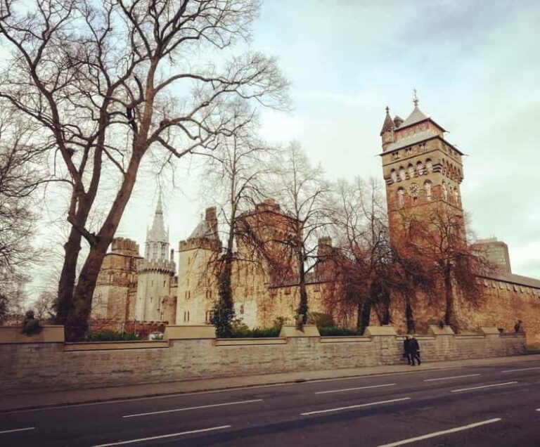 Complete Cardiff Private Half-Day Walking Tour - Starting Point and Accessibility