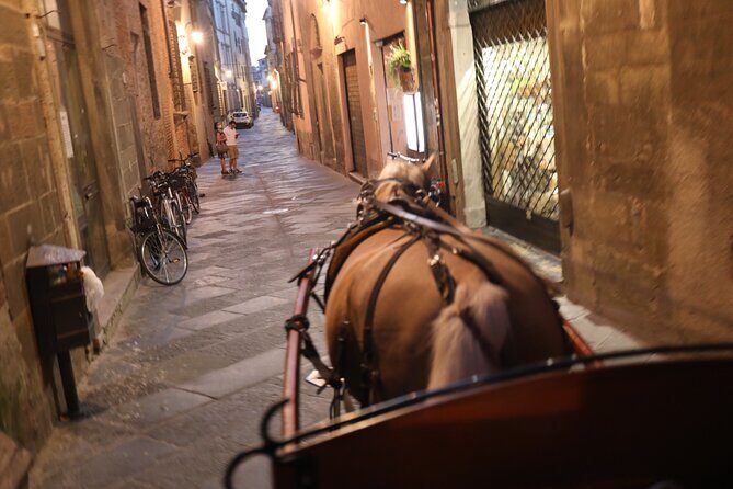 Complete tour of the city and walls - The Experience of Riding Luigi and Visiting Lucca