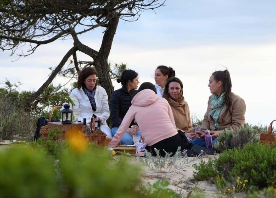 COMPORTA EXPERIENCE: LAND ROVER PREMIUM TOUR | PICNIC & DRONE INCLUDED - What to Expect in Detail