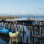 Comporta to Alcacer do Sal boat trip - What Do Travelers Say?