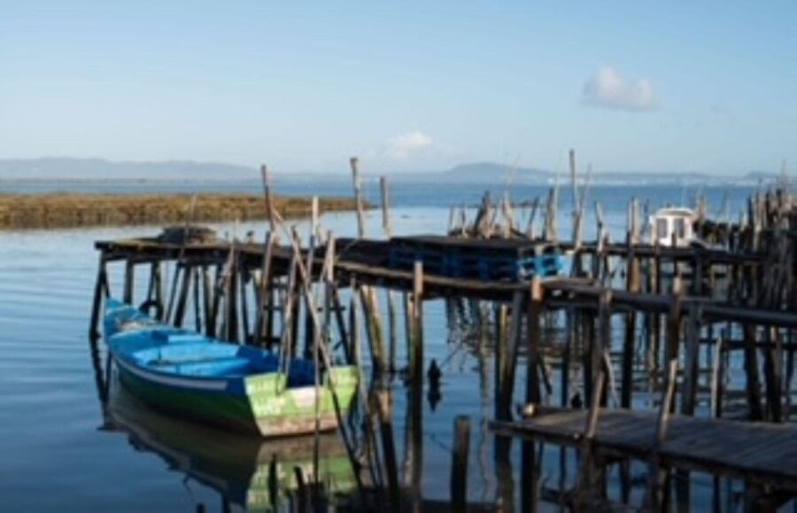 Comporta to Alcacer do Sal boat trip - What Do Travelers Say?