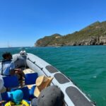 Comporta to Arrábida Coast and Troia - Who Should Consider This Tour?