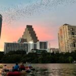 Congress Avenue Bat Bridge Kayak Tour in Austin - What Travelers Say: Authentic Perspectives from Reviews
