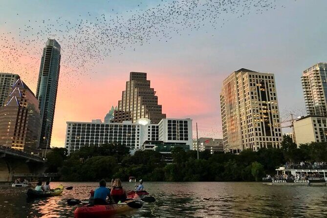 Congress Avenue Bat Bridge Kayak Tour in Austin - What Travelers Say: Authentic Perspectives from Reviews