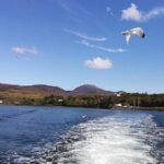 Connemara & Inishturk Island wildlife watching cruise. Private guided Full-day - The Value of a Private Guided Tour