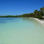 Contoy Island Tour from Playa del Carmen & Cancun - The Experience and the Value