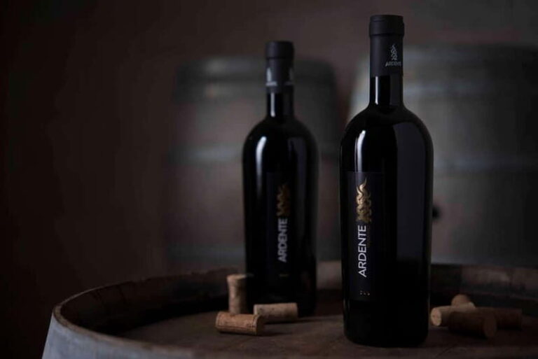 Conversano: wine tasting tour in the winery - The Flavors and Food Pairings