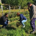Cook like a local Greek Cooking lesson in Mt Pelion Greece - Who Is This Tour Best For?