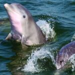 Copacetic Day Sail - What Does the Itinerary Look Like?