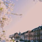 Copenhagen: Danish-Jewish History Tour - What to Expect from the Tour