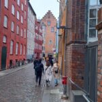 Copenhagen Private Walking Tour - What We Love About This Tour