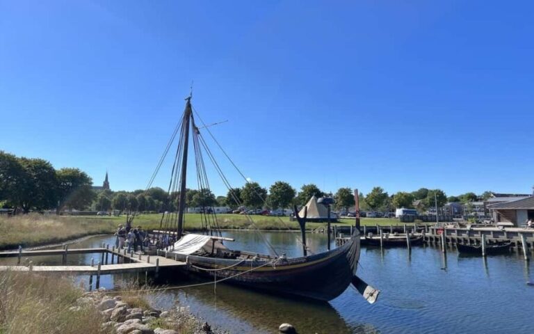 Copenhagen: Tour of Roskilde, the Viking city in Spanish - What the Reviews Say About the Experience
