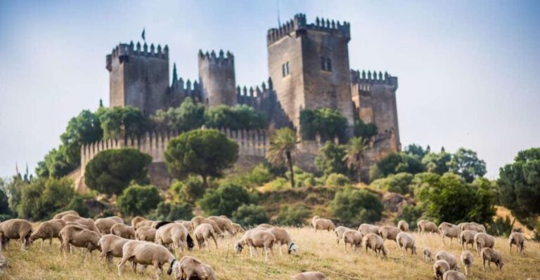 Córdoba: Almódovar Castle Entrance Ticket - The Film Connection