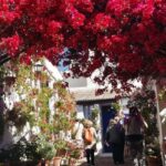 Cordoba Courtyards by Bike, Electric Bike - What to Expect from the Tour