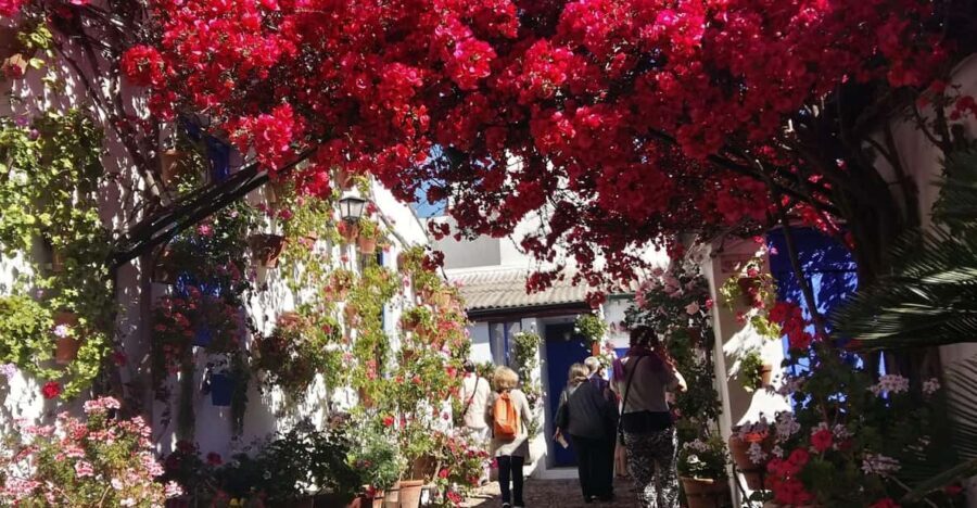 Cordoba Courtyards by Bike, Electric Bike - What to Expect from the Tour