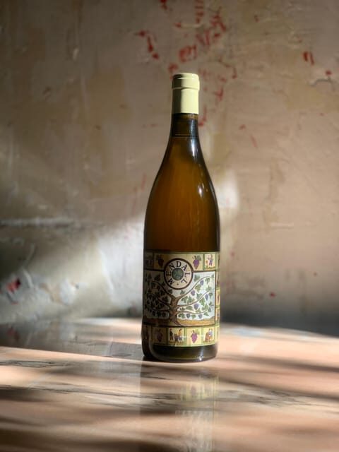 Córdoba: Discover the Soul of Spanish Natural Wine & Cuisine - An In-Depth Look at the Córdoba Natural Wine & Cuisine Tour