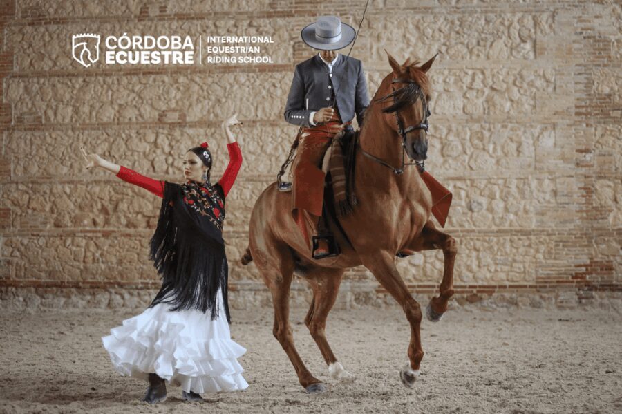 Cordoba: Equestrian Show General Entry - The Practical Side: Price, Duration, and Accessibility