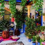 Cordoba Guided Day Trip from Seville - The Value of the Tour