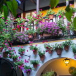 Córdoba: Guided tour in Spanish to the courtyards of Córdoba - What the Tour Offers
