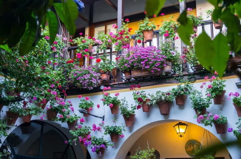 Córdoba: Guided tour in Spanish to the courtyards of Córdoba - What the Tour Offers