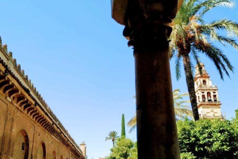Cordoba Highlights Full-Day Tour from Granada - The Experience and Its Strengths
