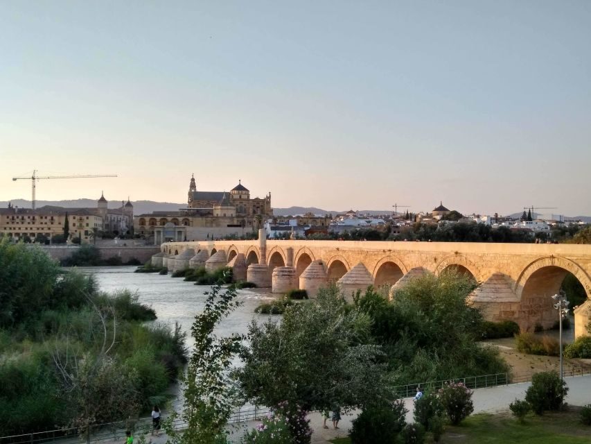 Córdoba Highlights Walking Tour - A Closer Look at the Córdoba Highlights Walking Tour