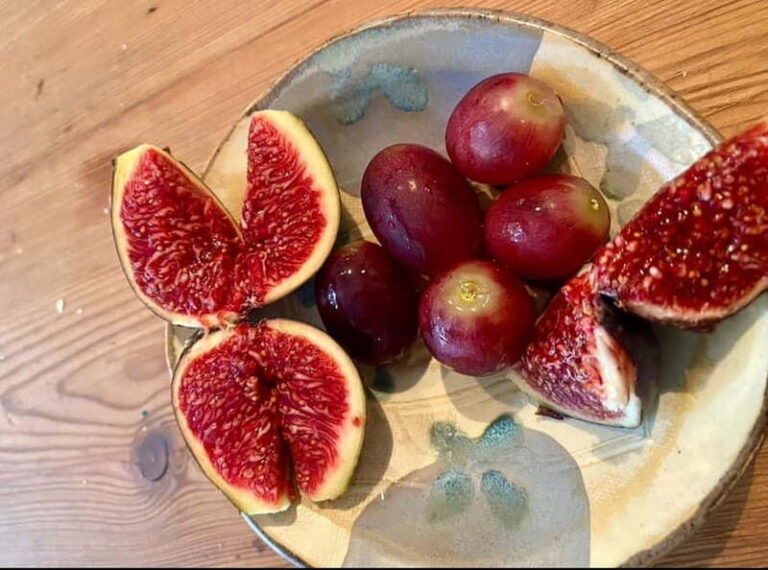 Cordoba: Market Tour and Cooking Class with Natural Wines - The Experience Value: Is It Worth It?