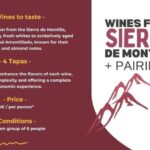 Córdoba: Sierra de Montilla Wine Tasting and Pairing - The Value: Is It Worth the Price?