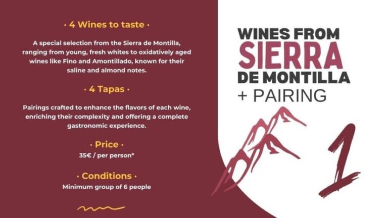 Córdoba: Sierra de Montilla Wine Tasting and Pairing - The Value: Is It Worth the Price?