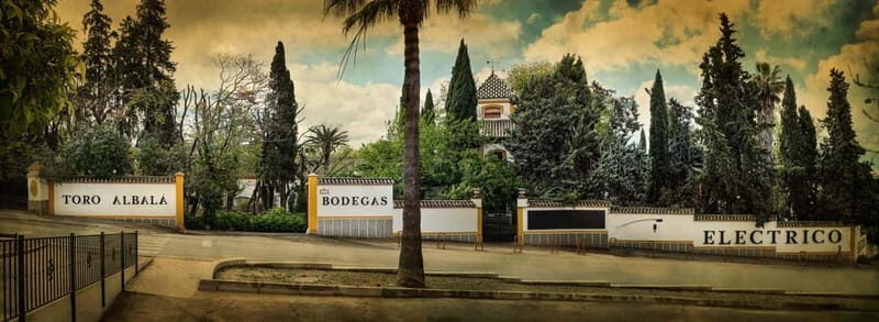 Córdoba: Visit and Tasting of Montilla-Moriles Wine at Bodegas Toro Albalá - Practicalities and Logistics