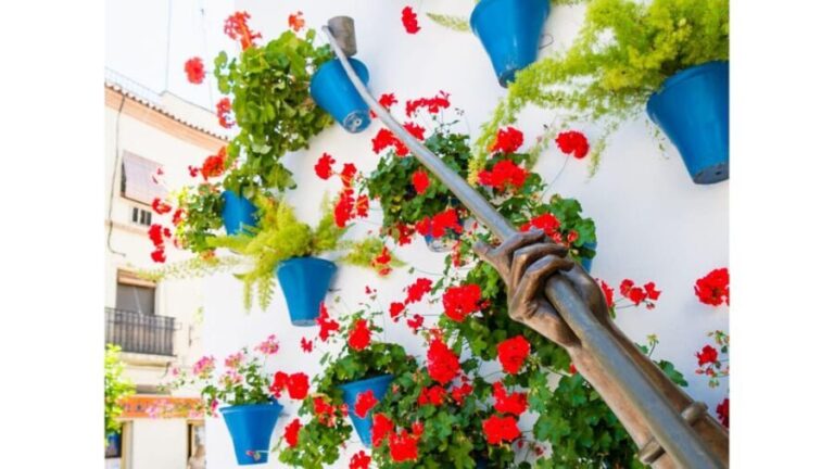 Cordoba's Authentic Patios: 2-Hour Tour with Tickets - Who Is This Tour Best For?