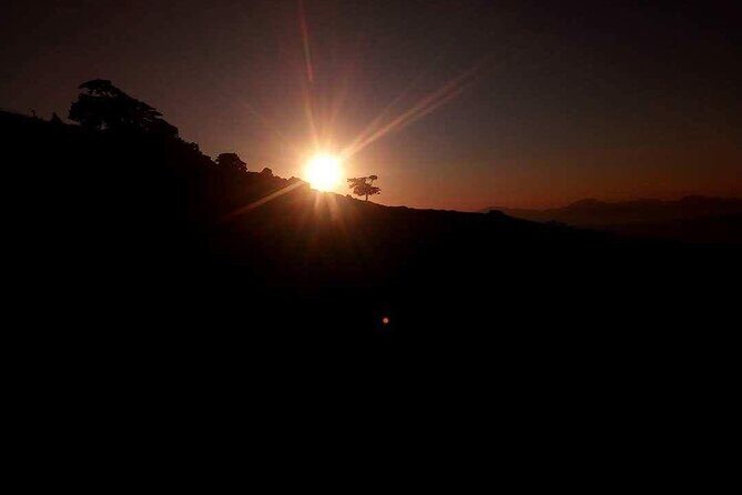 Corfu 4x4 Sunset Safari North West - Why Travelers Love This Tour