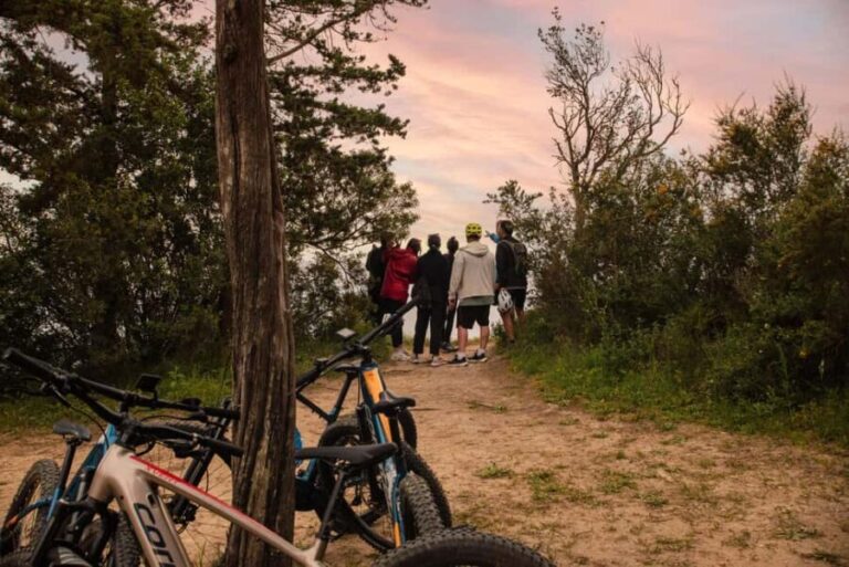 Corfu: E-Bike Tour with Olive Oil Tasting - The Final Stop and Overall Atmosphere