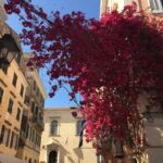 Corfu: History and Culture Walking Tour - Key Points