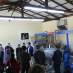 Corfu: Olive Oil Experience - The Governor's Olive Mill - The itinerary in detail