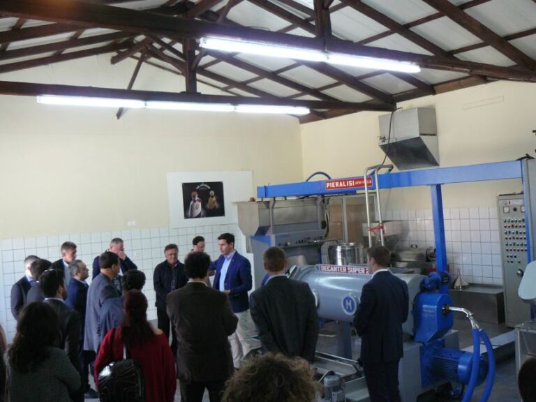 Corfu: Olive Oil Experience - The Governor's Olive Mill - The itinerary in detail