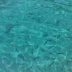 Corfu Private Boat Tour - Is It Right for You?