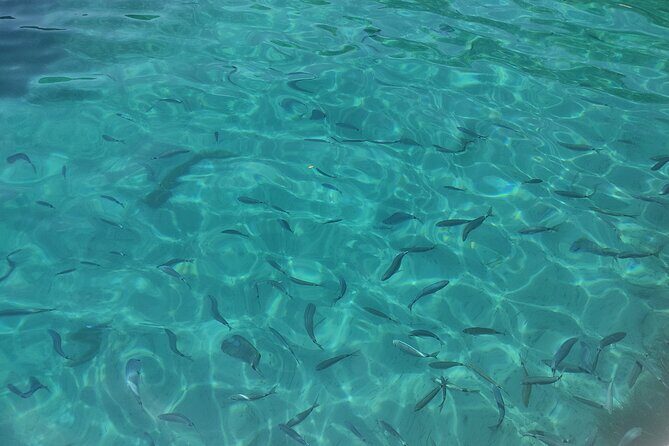 Corfu Private Boat Tour - Is It Right for You?