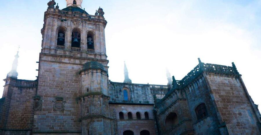 Coria: Cathedral of Coria Ticket Entrance - Who Should Consider This Tour?