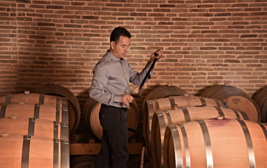 Corinth: Winery Tour and Organic Fine Wine Tastings - An In-Depth Look at the Corinth Organic Winery Experience